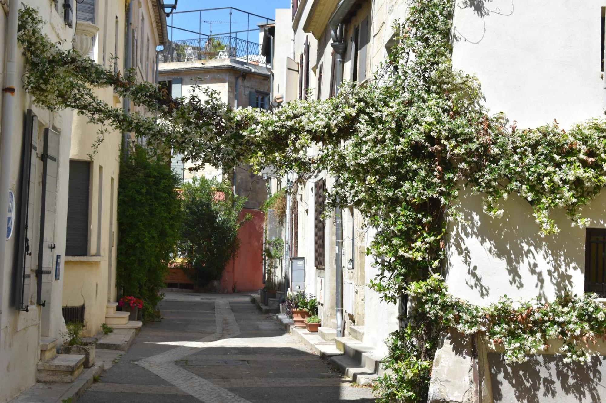 Nid Douillet Au Coeur De La Roquette, * Arles